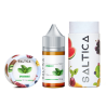 Saltica Spearmint (Mentol) Salt Likit